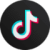 TikTok Logo Circle